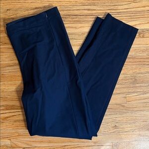 Navy Blue Jegging Pants Banana Republic